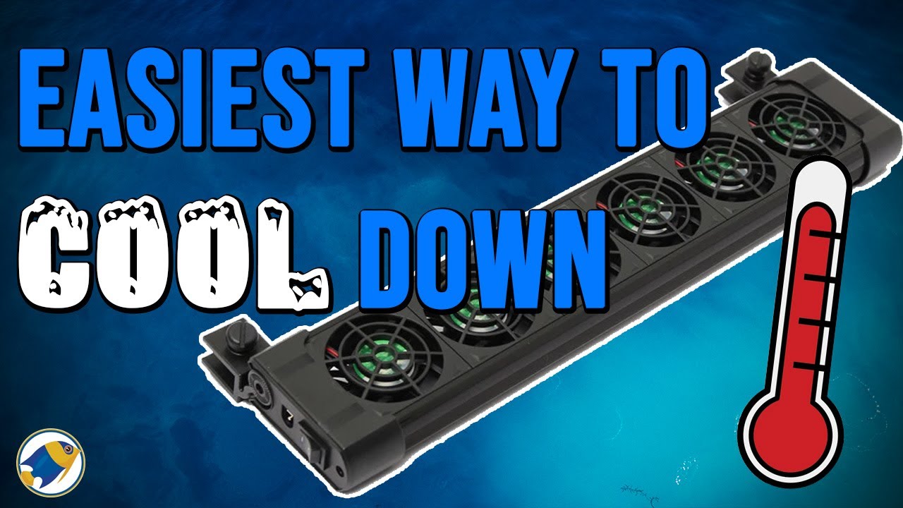 Boyu Aquarium Cooling Fan Review | Cheap Aquarium Fans - MR BRIGHTFRYED
