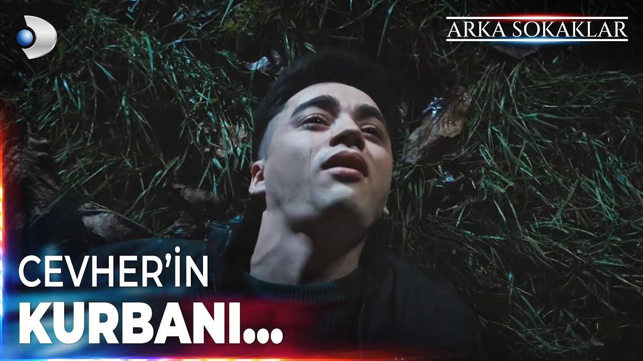 Balaban Hayatını Kaybetti! #ArkaSokaklar Özel Klip