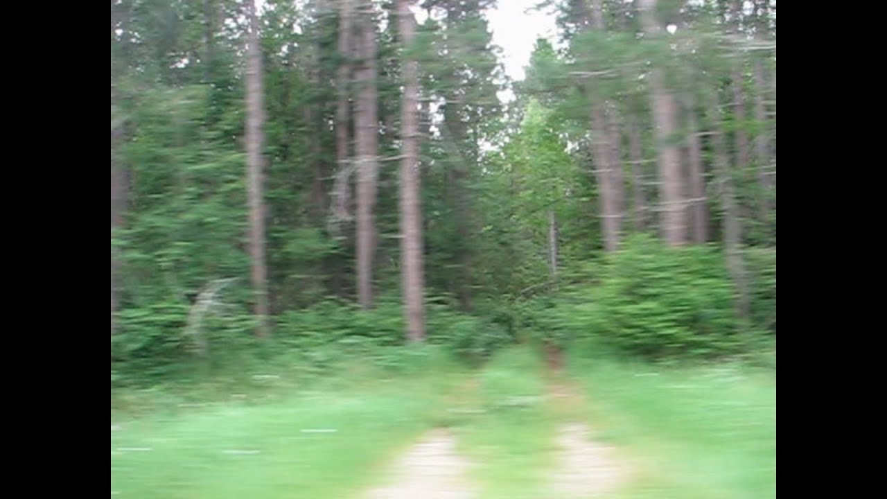 ✦ free sad midwest emo / acoustic type beat 