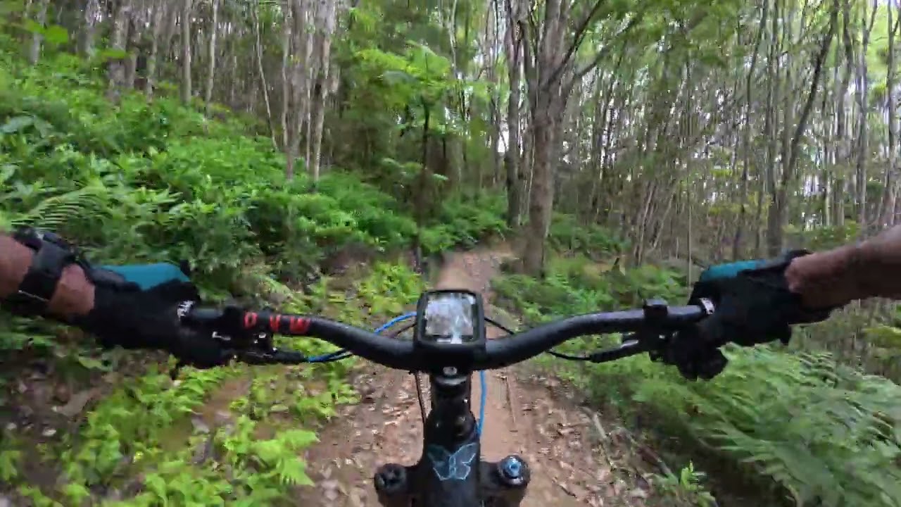 #7 Uki Mountain Bike Park in Tweed Valley NSW - Flocka Pigeons