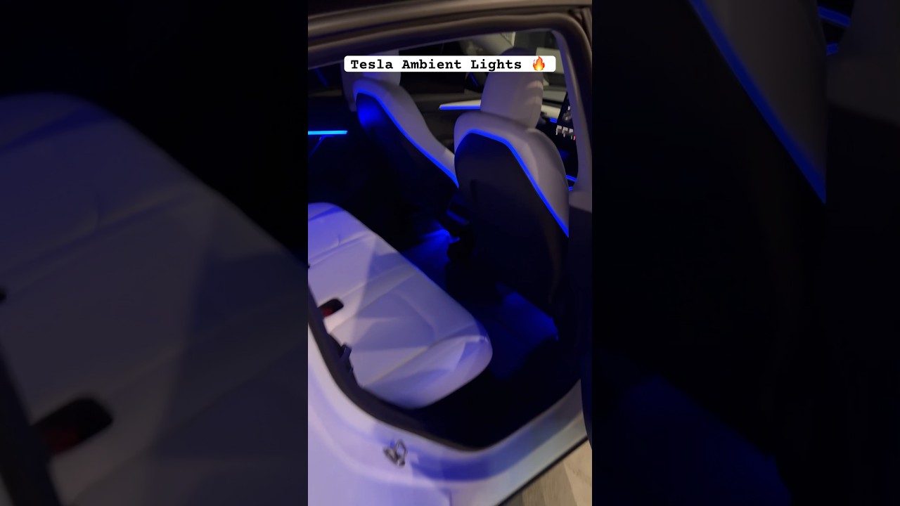 Tesla Ambient Lights Installed! 🔥 #tesla #modely #model3 #ambientlight #ambientlighting #interior