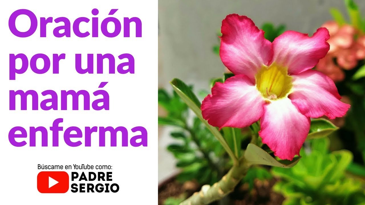 Oraci&oacute;n por una mam&aacute; enferma