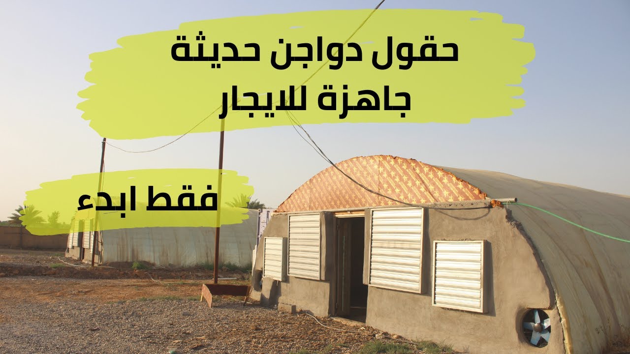 حقول دواجن حديثة للاجار..... لا تفوتك فرصة المشاهدة, يستلم المستاجر الحقل كامل بدون نواقص