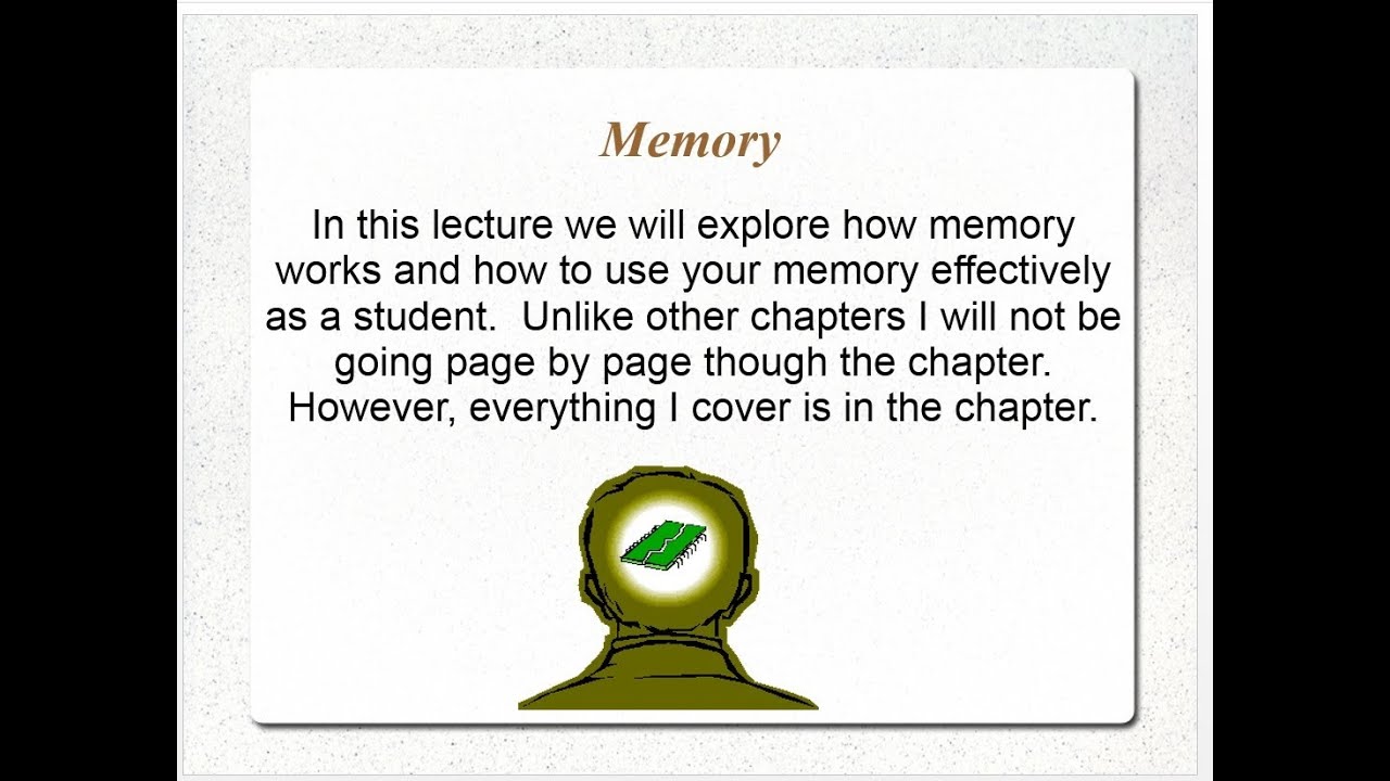 PSY101 Memory