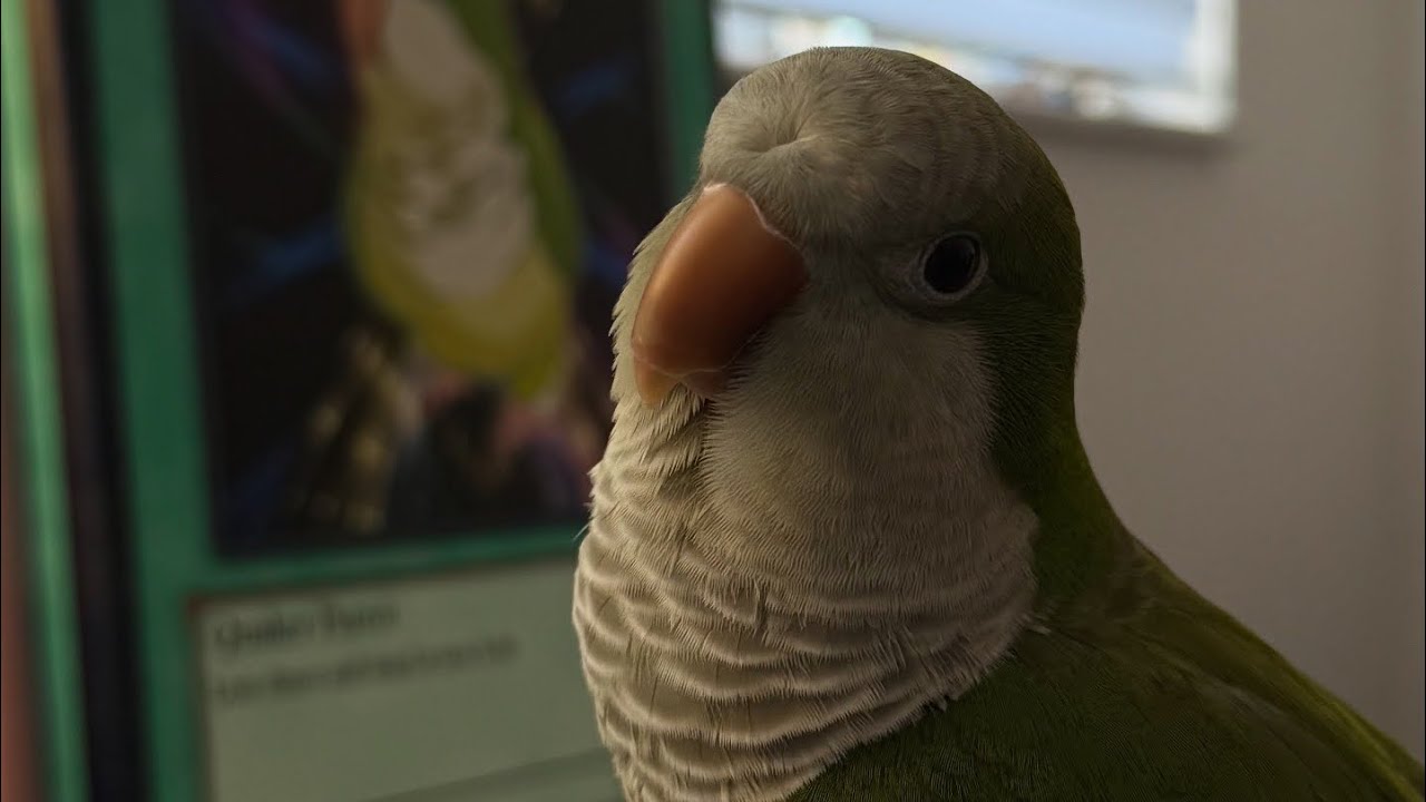 Un día en la vida de Coty 💚