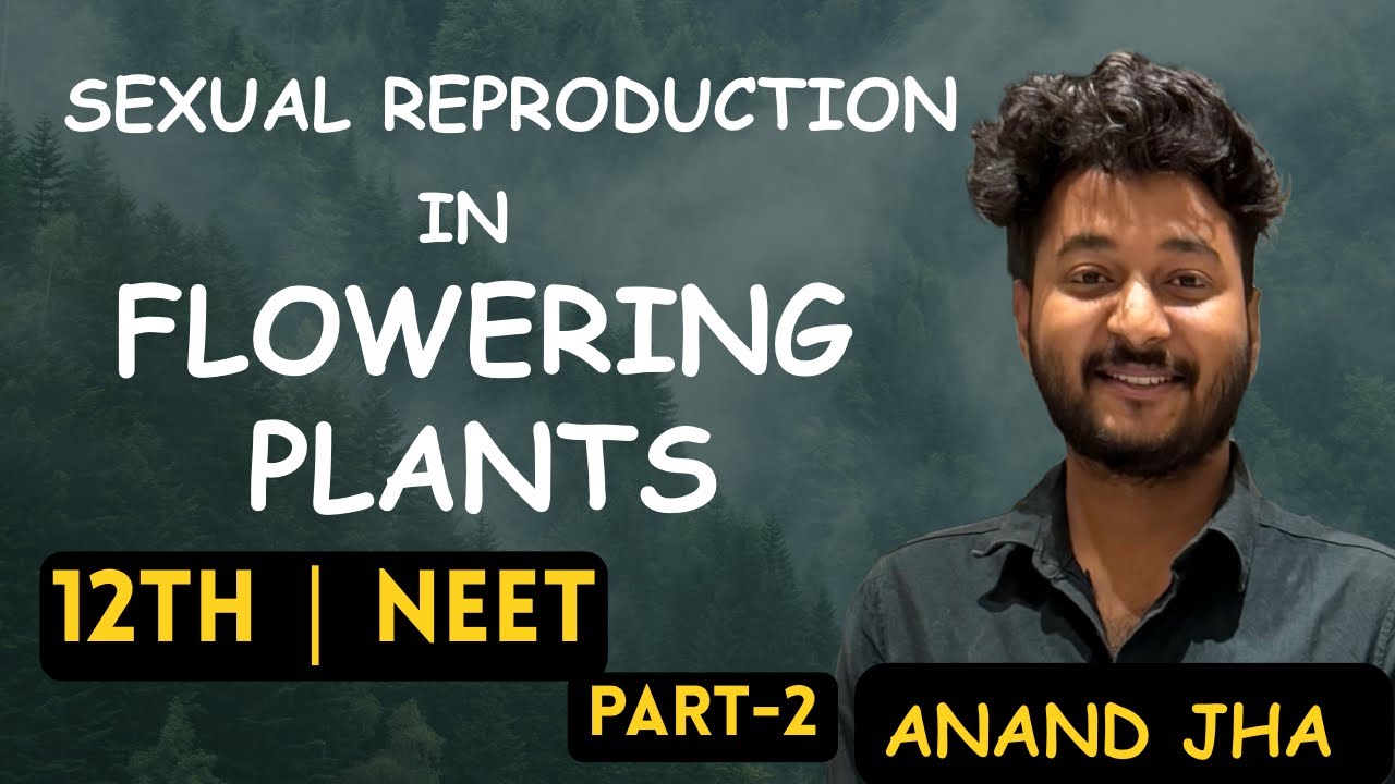 Sexual Reproduction in Flowering Plants for NEET || By- Anand Jha