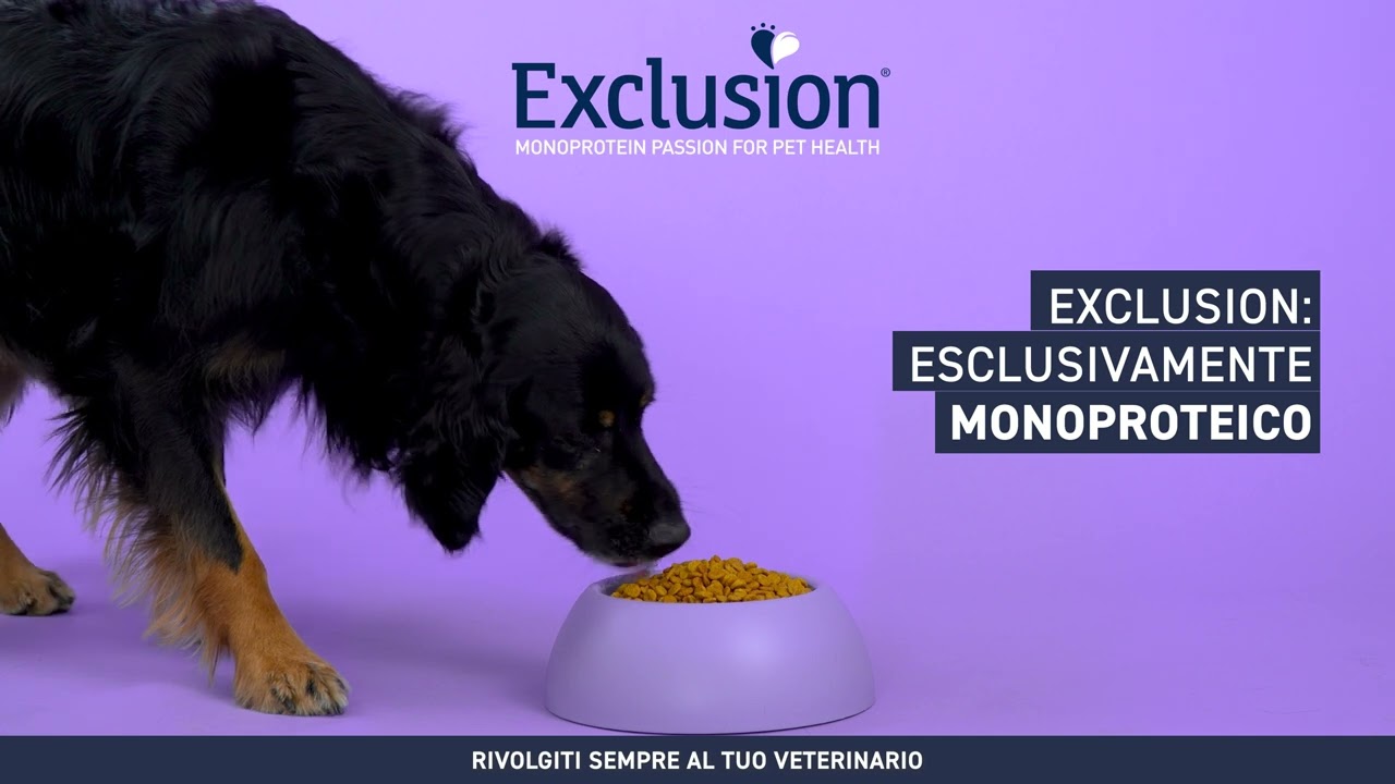 Exclusion Hypoallergenic Dog 16:9