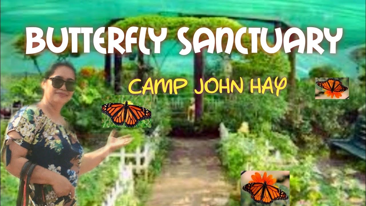 BUTTERFLY SANCTUARY at camp john hay baguio city!