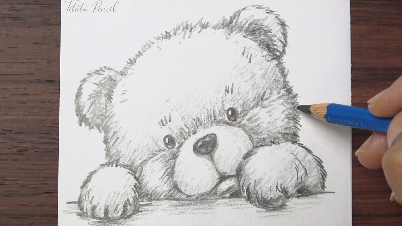 How to draw Cute little Bear face step by step | Pencil sketch for beginners