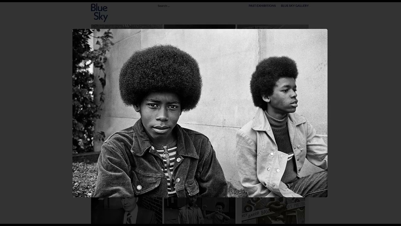 A Treasure Trove of Beautiful Photographs: 50 Years at Blue Sky