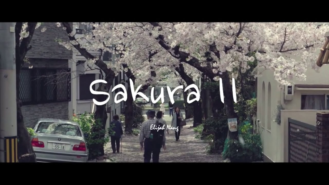 Elijah Nang - Sakura pt.II 桜.