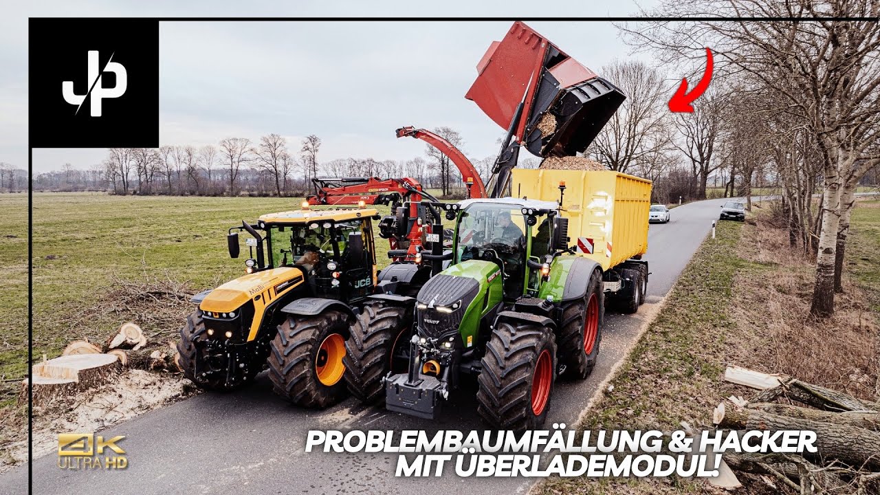 Problembäume mit 38-Tonnen Kran beseitigen und Hacken!  || JP Agrar