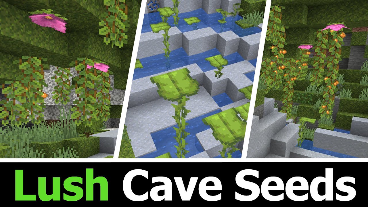 Top 10 Lush Cave Seeds for Minecraft 1.20