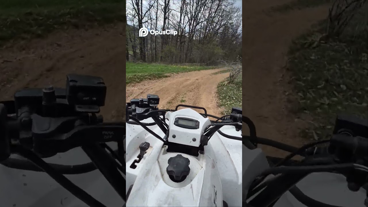 Chill ATV Adventure in the Mountains 