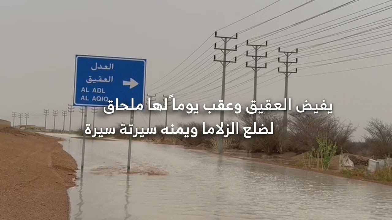 شيلة مداهيل ابوي كلمات نادر المغيبي أداء عزيز المغيري