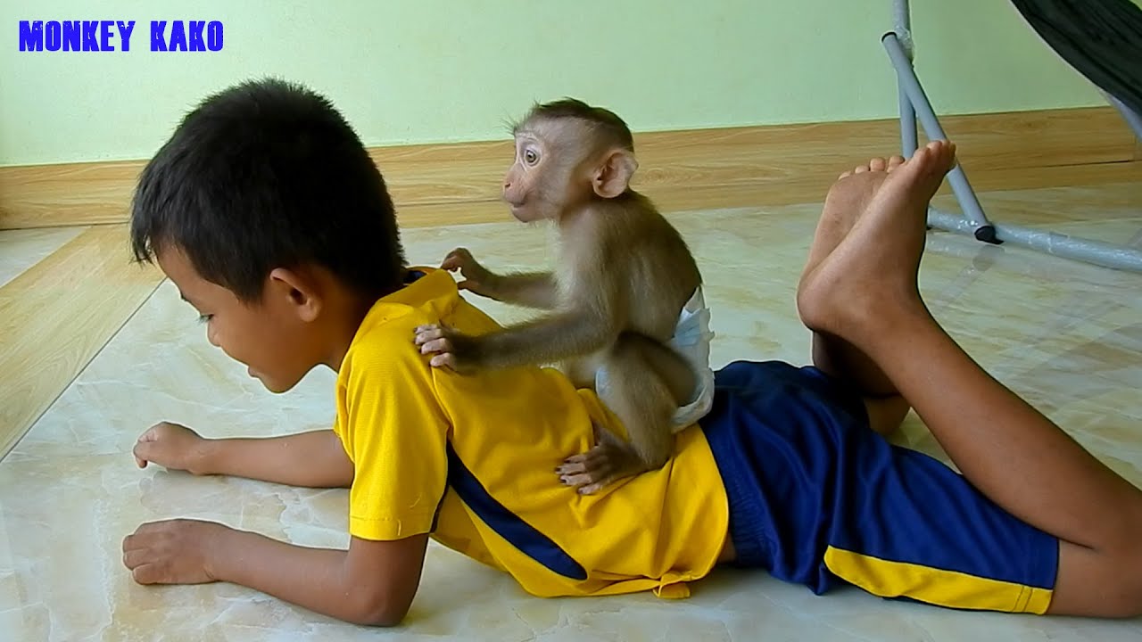 Very Funny!! Cute Baby Monkey Luna Playing And Riding Brother