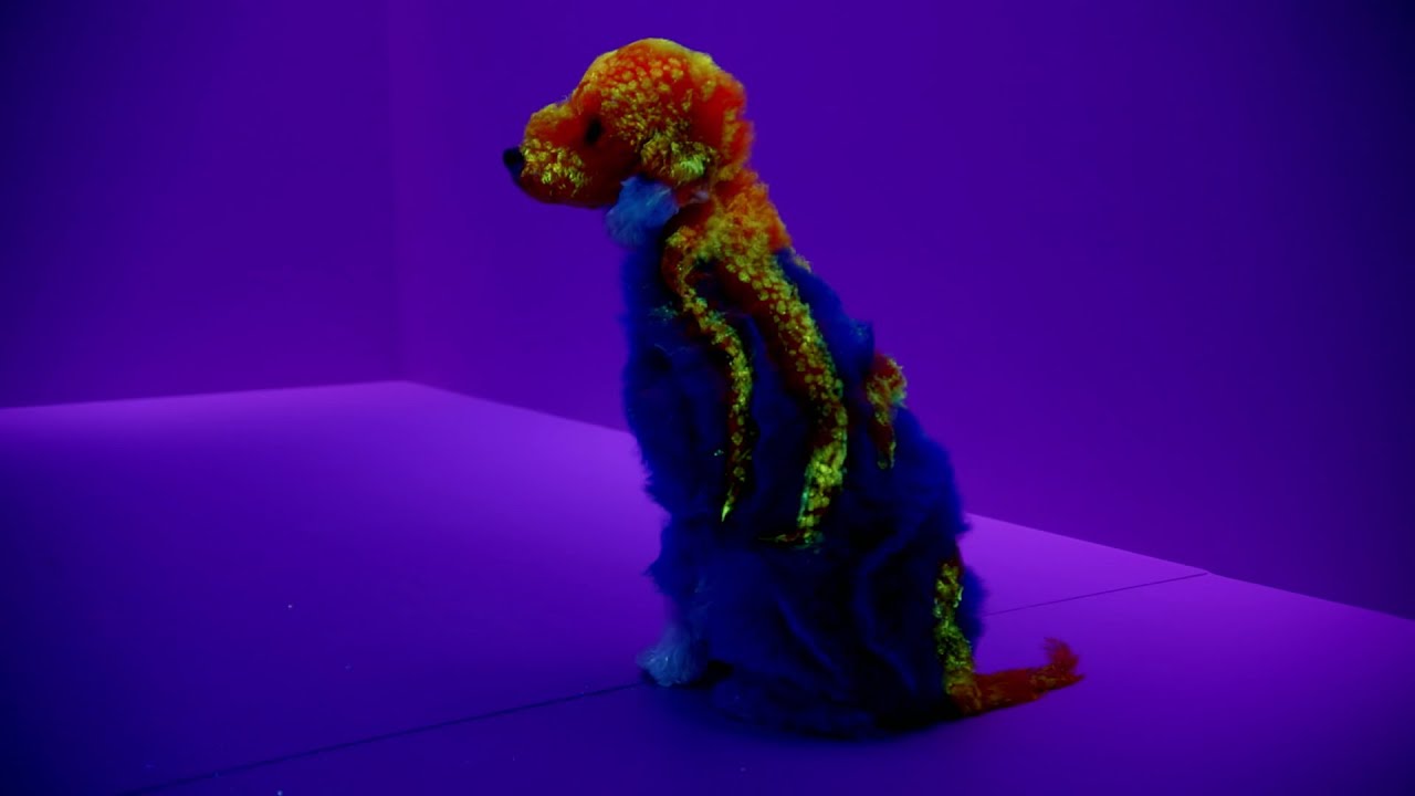 Macie & Corina's Glow in the Dark Octo-Pup - Pooch Perfect