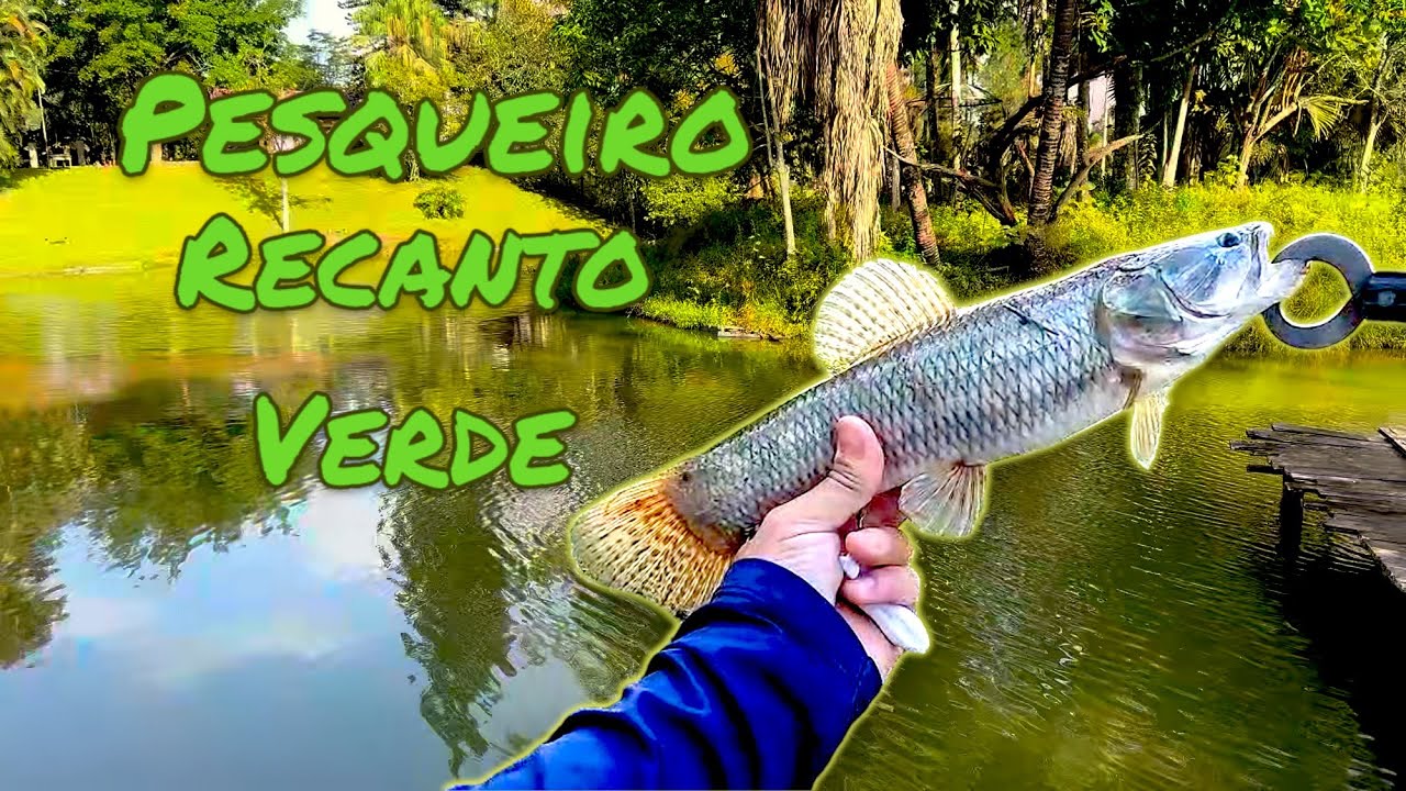 Lagoa de Pesca Esportiva na Região de Blumenau! Recanto da Natureza