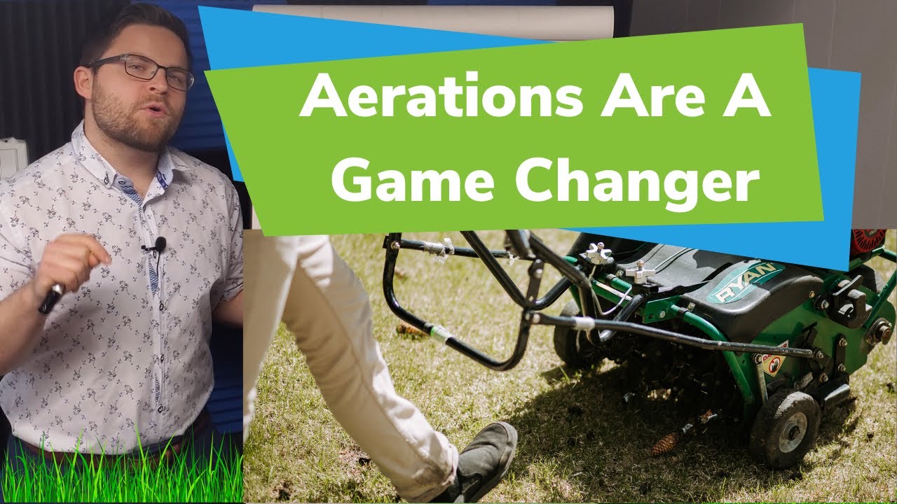 Is Lawn Aeration Needed Every Year? SCAM or LEGIT?