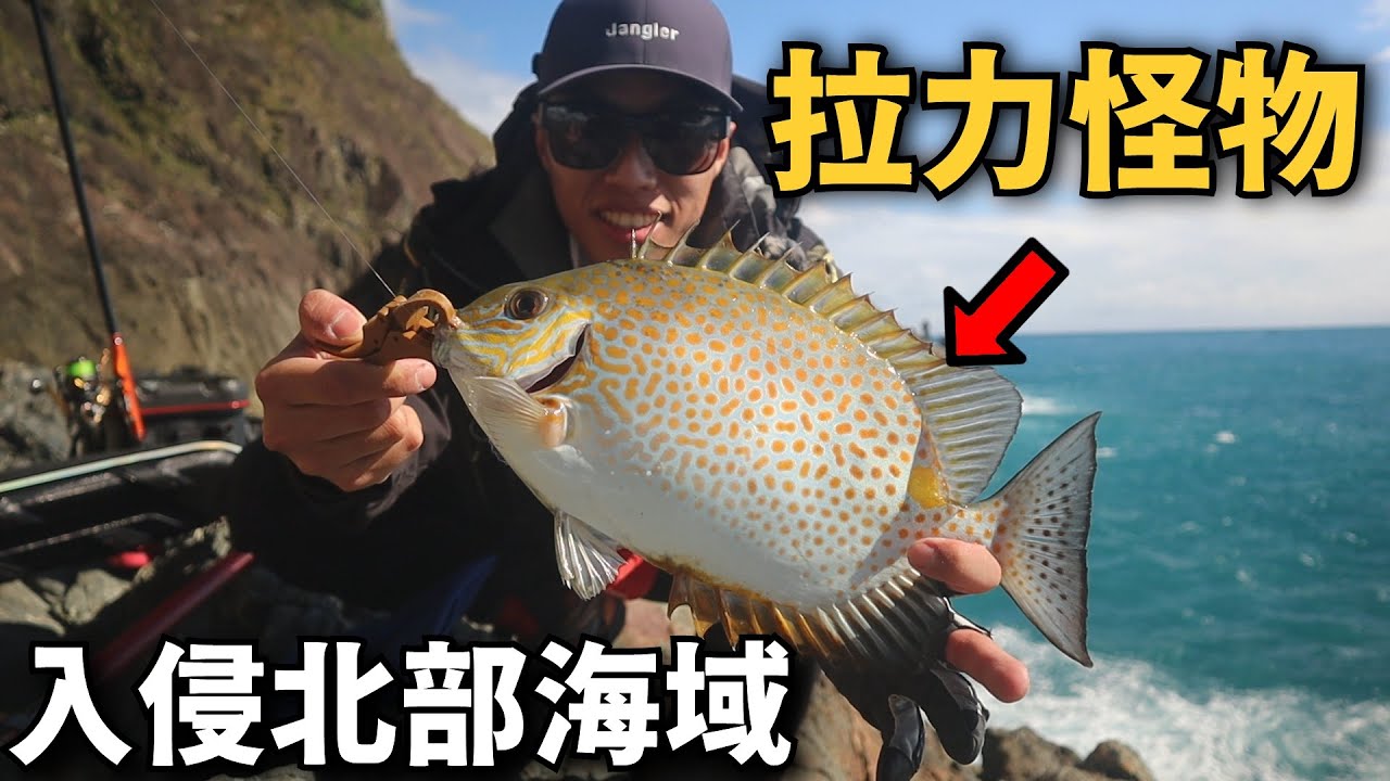 【磯釣】這種魚已經慢慢的越來越多 ! 暴力魚種-星點臭肚! 礁石上想拉起來可沒那麼簡單~ | 粉鳥林外礁磯釣-小顆 2025
