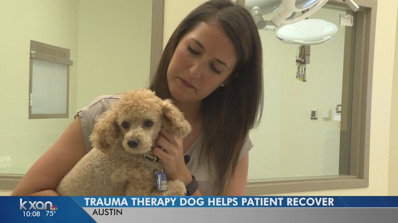 Therapy dogs work miracles at Seton hospital