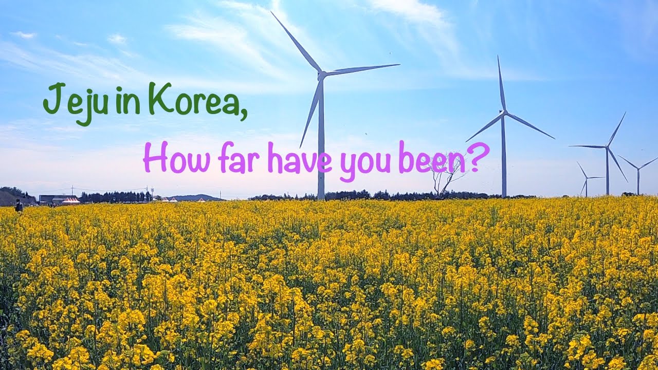 Noksan-ro, Jeju in South Korea, How far have you been?