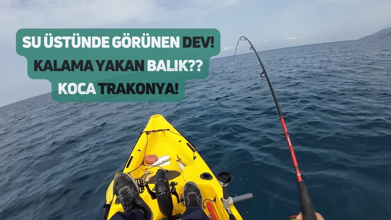 Benim Mera Sonunda Sinyallerini Verdi!
