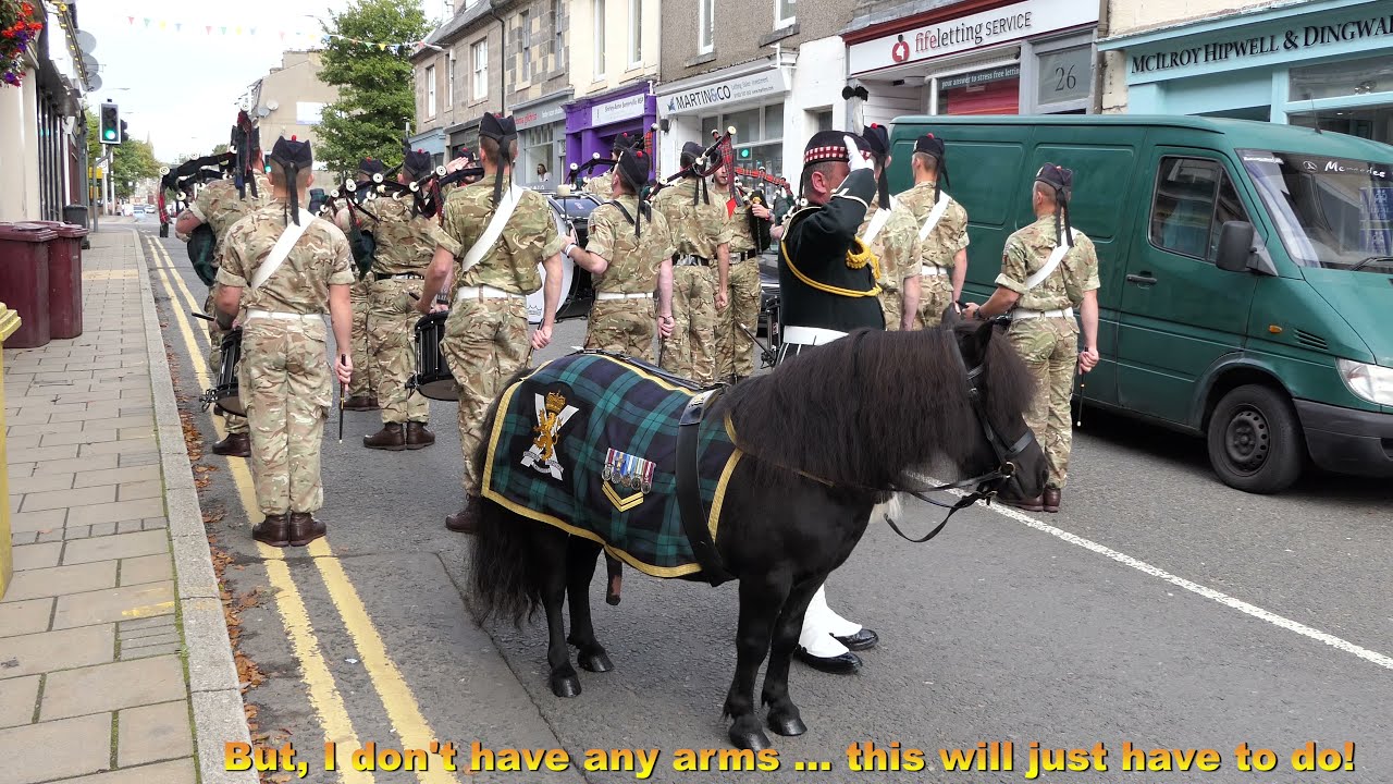 Corporal Cruachan IV Shetland Pony stands to attention for Scotland The Brave