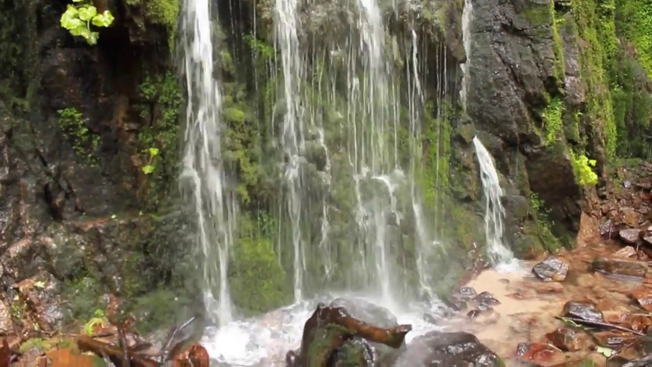 Burgbach Wasserfall Bad Rippoldsau Schapbach