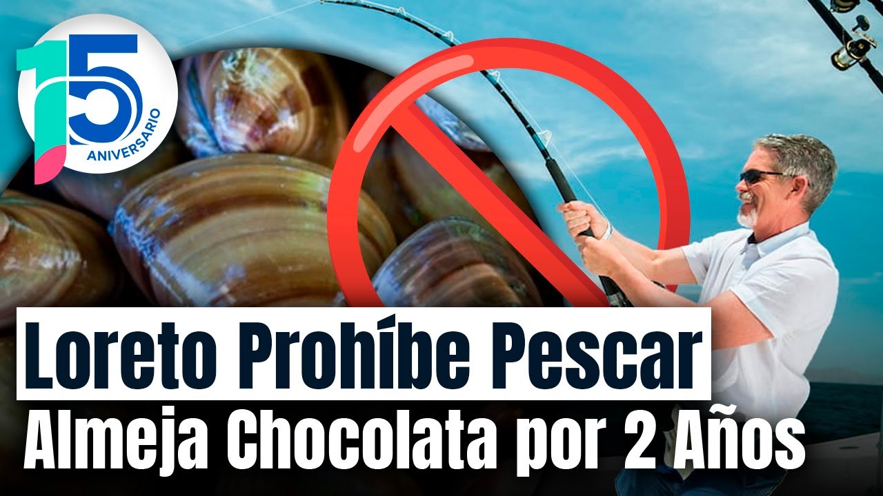 Medida Radical: Prohíben Pesca de Almeja Chocolata en Loreto para Salvaguardar la Especie