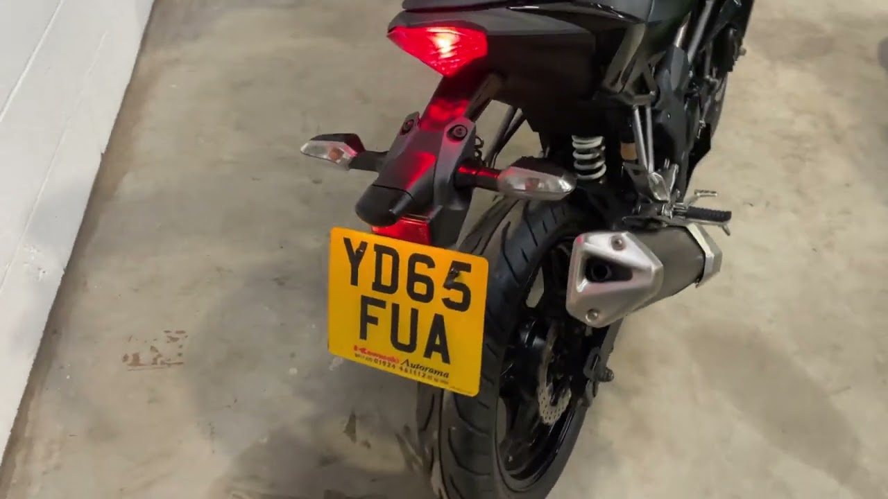 2015 Kawasaki z250 BR250 EFF