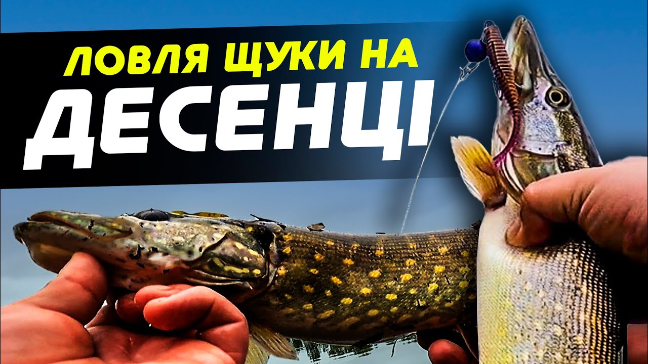 Ловля щуки восени в Києві на річці ДЕСЕНКА! Де він той ЖОР ЩУКИ?