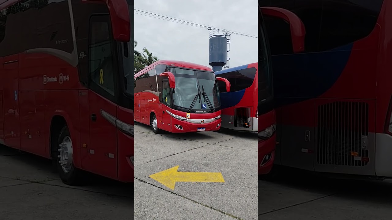 Paradiso New G7 a venda #bus #onibus #scania #shorts