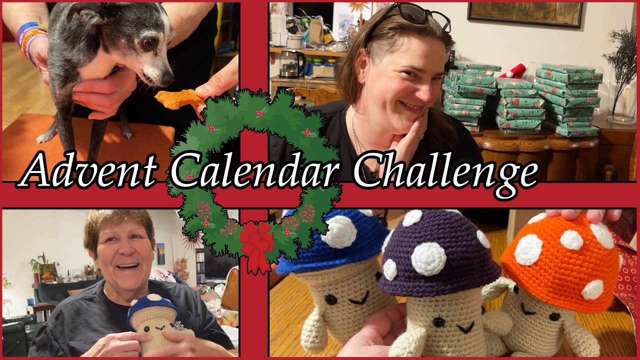 Задание «Адвент-календарь» — Видеоблог за 2 и 3 дни — Часть 1 | 2025