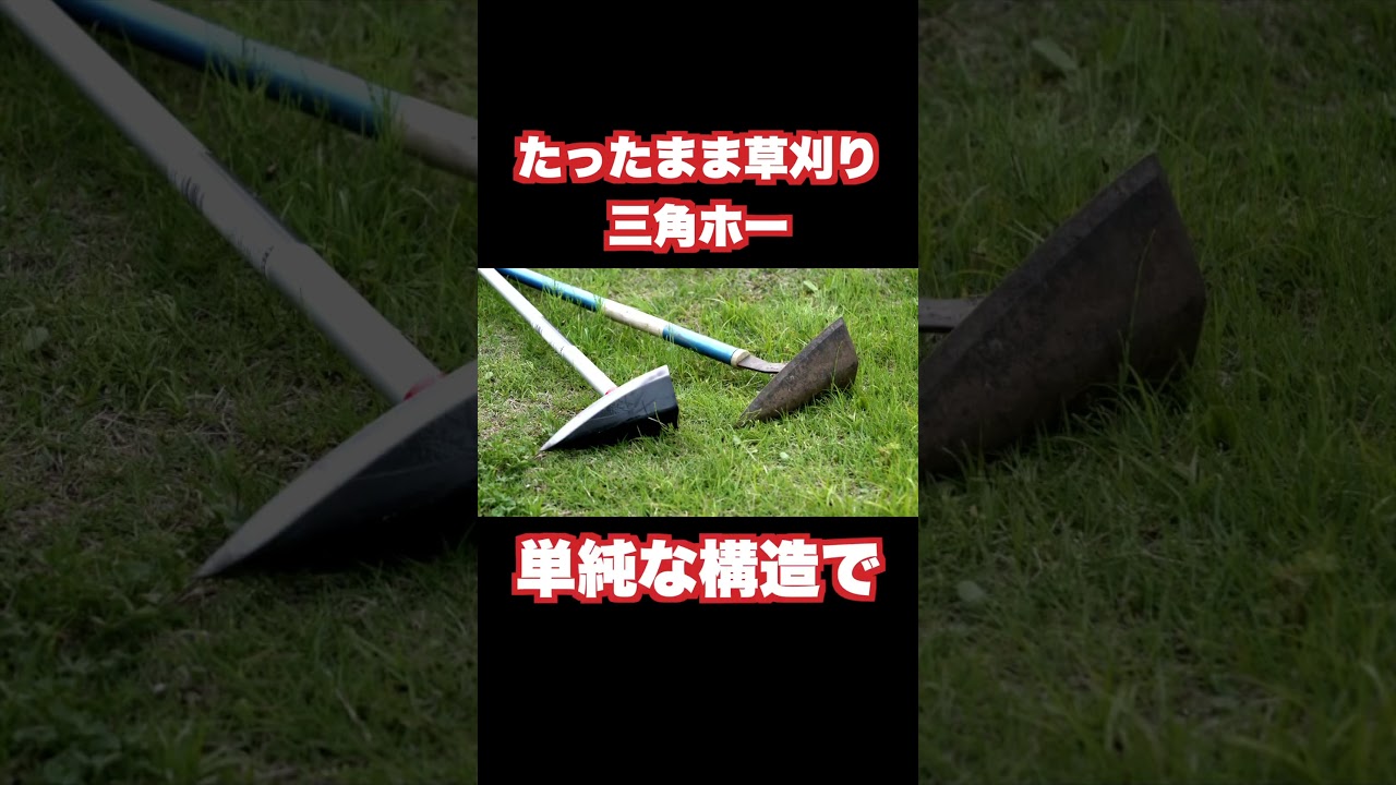 立ったまま草刈りできる！三角ホー#andgp #家庭菜園初心者 #除草 #草刈り