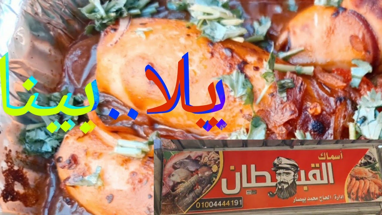 يلا..بينا على أسماك🐠 ومطعم😋 القبطان نشوف الكليماري🦑 المحشي بخلطة الأرز المميزة .يلا ..بينا