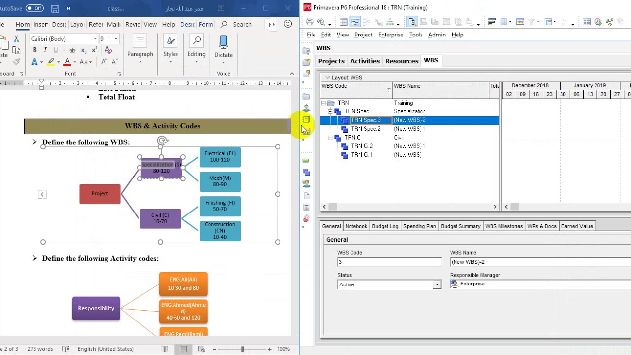 Lesson 5 WBS and Activity Codes Grouping and Sorting with filters