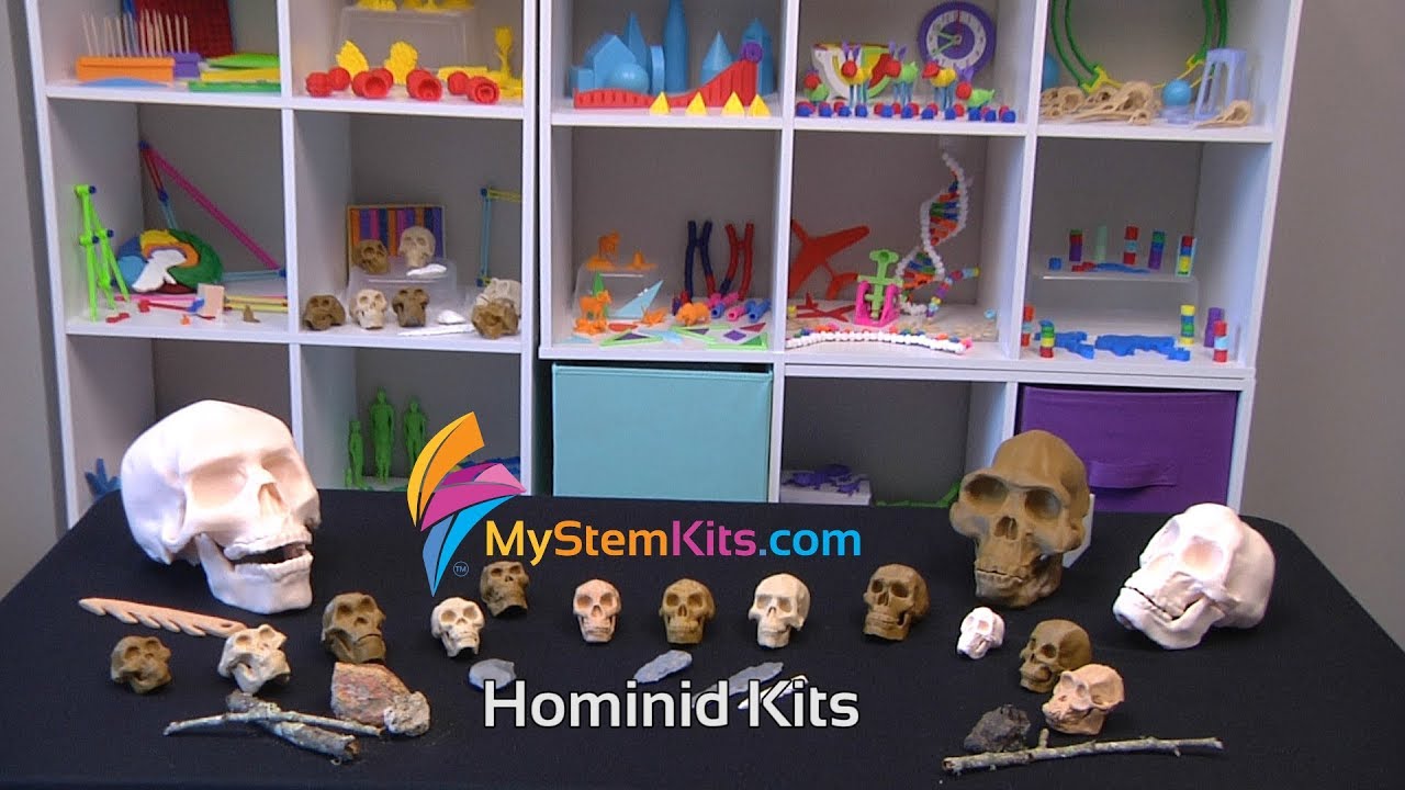 Hominid Species and Tools Kit & Hominin Kit