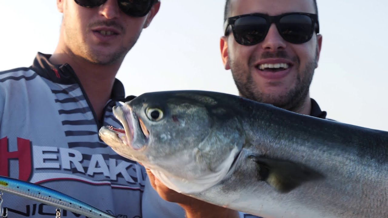 OFF SHORE SPINNING MEDIO