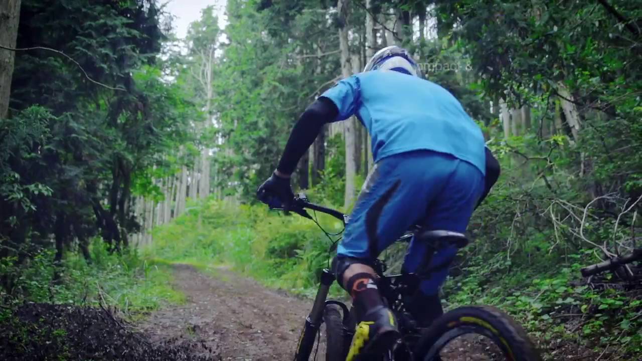 2017 Haibike Yamaha PW X eBike System Highlights
