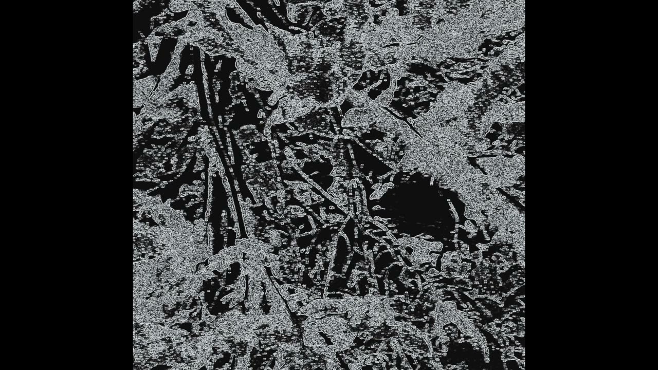 the mystic loner - black ice. [audio]