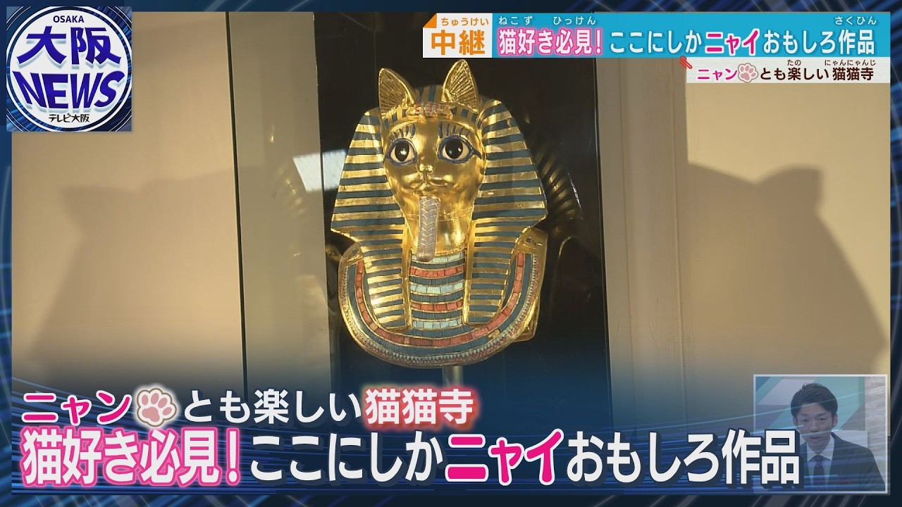 #kyoto【ニャンとも人気な】外国人観光客も押し寄せる!?  ツタンニャーメンって？＜猫寺？から生中継＞