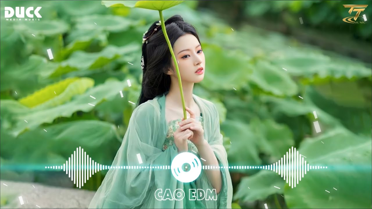 Nhạc TikTok Trung Quốc Lời Việt Remix ♫ LK Nhạc Hoa Lời Việt Remix Hay Nhất 2024