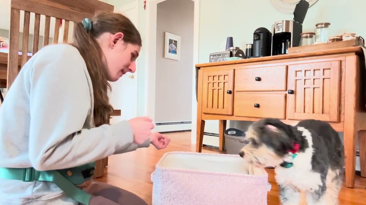 Rosie tricks