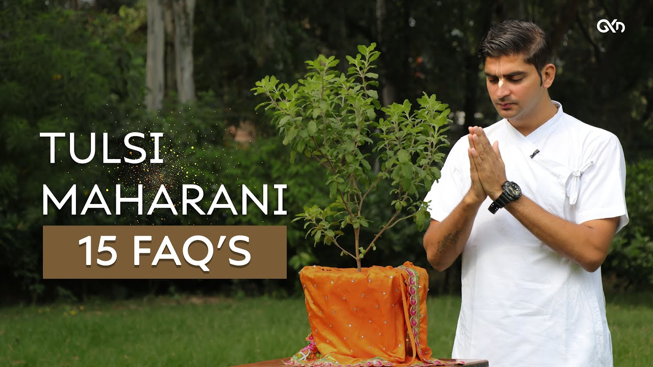 15 FAQ's about Tulsi Maharani | Govind Krsna Das | GKD