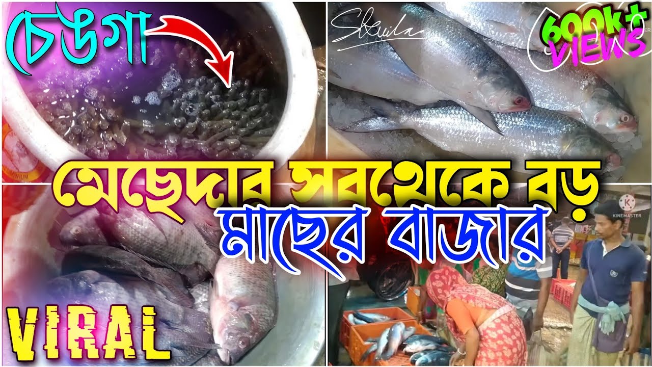 Mecheda wholesale fish market/biggest holsale fish market India/near fish market/viral videos