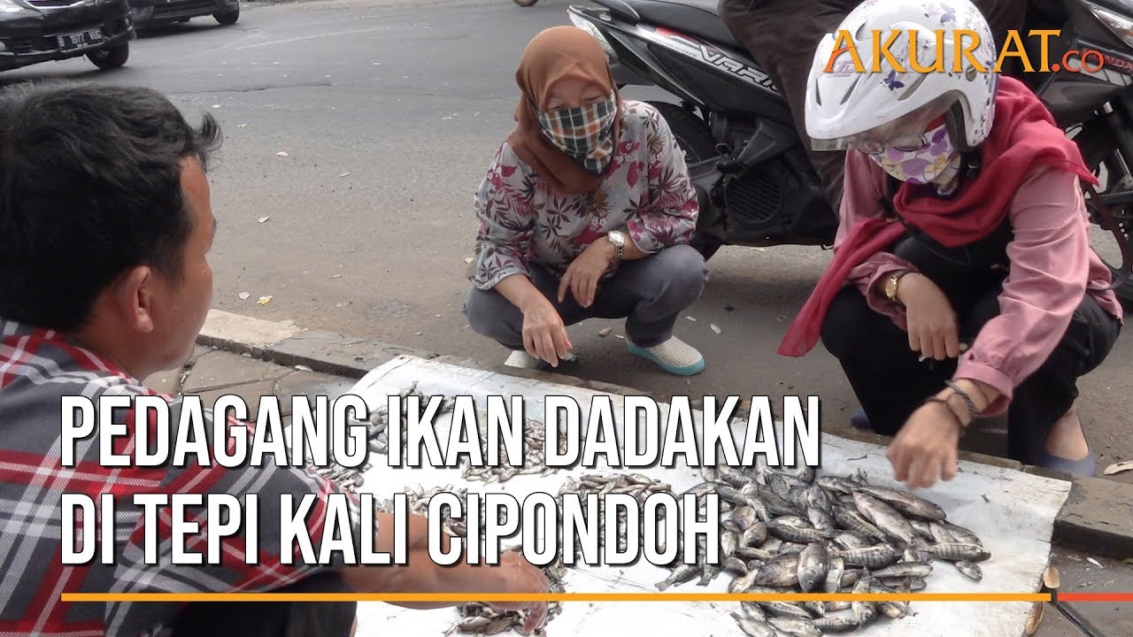 Pedagang Ikan Dadakan di Tepi Kali Cipondoh