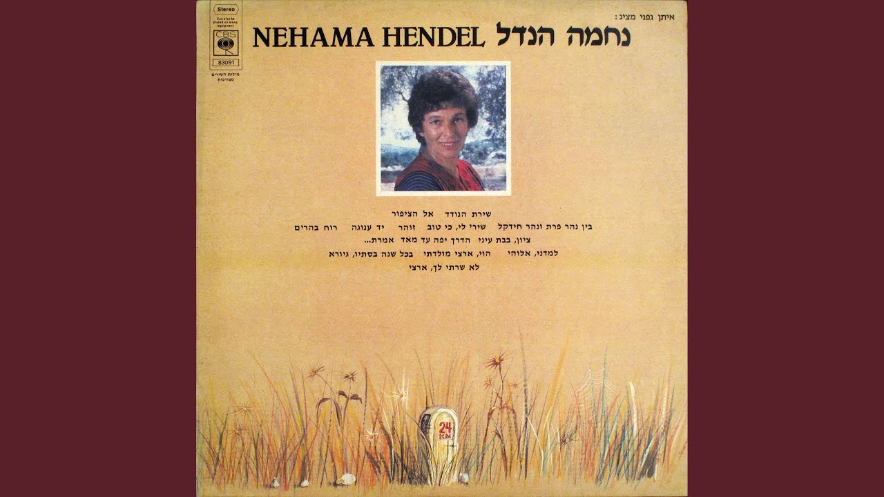 אל ארצי