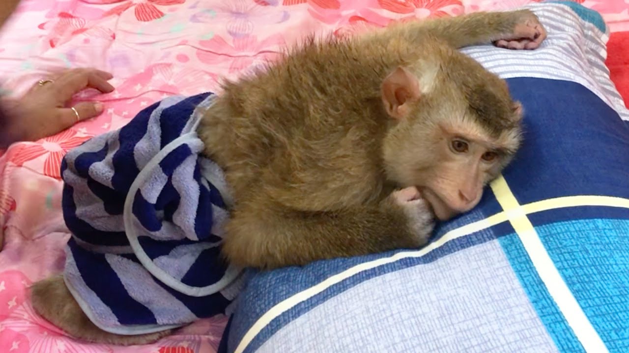 Smart Jason Look So Comfy Wrap In Towel After Morning Bath
