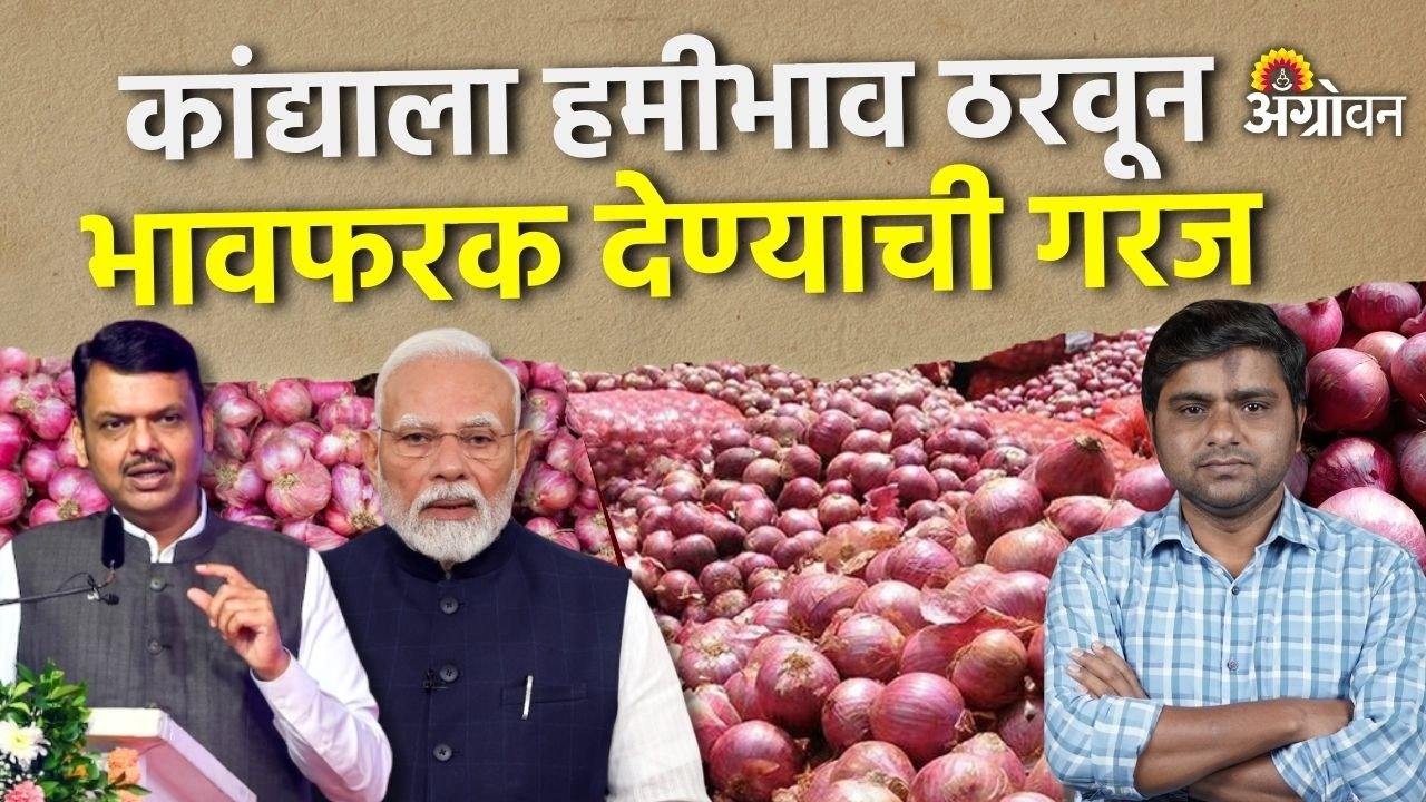 Onion Rate: सरकारचे निर्यातीचे धोरण, वाढलेला आवकेमुळे कांदा भाव पडले | Agrowon